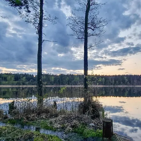 1 Bedroom Pet Friendly In Rekowo *