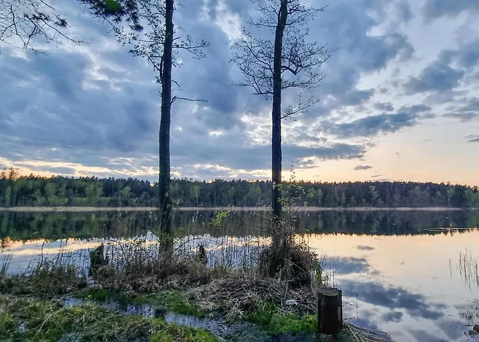 1 Bedroom Pet Friendly In Rekowo *