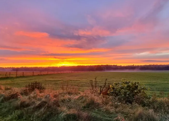 1 Bedroom Pet Friendly In Rekowo *